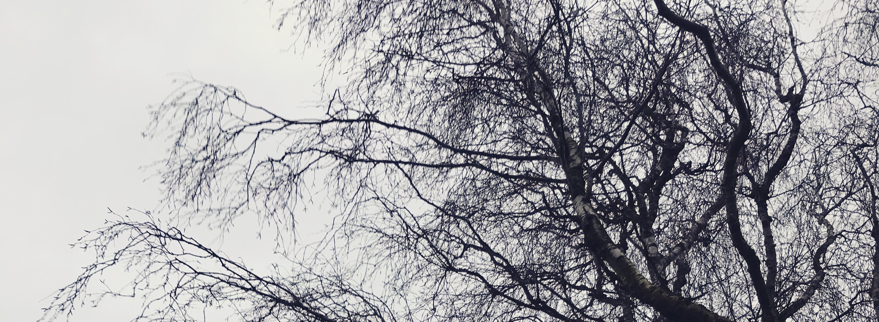 2019-12-12_08-17-14_043